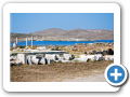 Egeo Meridionale - Isola di Delos 018