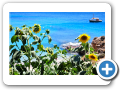 Egeo Meridionale - Isola di Mykonos 016