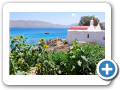 Egeo Meridionale - Isola di Mykonos 017