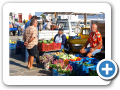 Egeo Meridionale - Isola di Mykonos 063