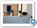 Egeo Meridionale - Isola di Santorini 012