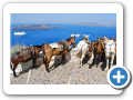 Egeo Meridionale - Isola di Santorini 103