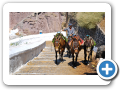 Egeo Meridionale - Isola di Santorini 107