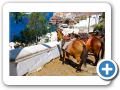 Egeo Meridionale - Isola di Santorini 108
