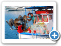 Egeo Meridionale - Isola di Santorini 113