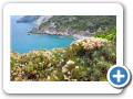 Tessaglia - Isola di Skiathos 157