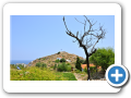 Tessaglia - Isola di Skiathos 159