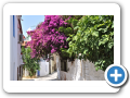 Tessaglia - Isola di Skiathos 221