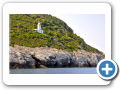 Tessaglia - Isola di Skopelos 003