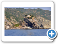 Tessaglia - Isola di Skopelos 007