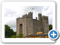 Contea di Clare - Bunratty 001