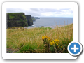 Contea di Clare - Cliff's of Moher 004