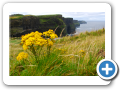 Contea di Clare - Cliff's of Moher 020