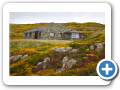 Contea di Galway - Clifden 004