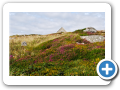Contea di Galway - Clifden 015