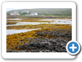 Contea di Galway - Isole Aran 024