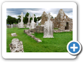 Contea di Offaly - Clonmacnoise 003