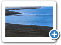 Chubut Caleta Valdes  2008 007