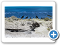 Chubut Caleta Valdes  2008 010