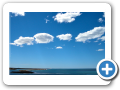 Chubut Caleta Valdes  2008 013