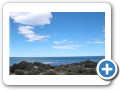 Chubut Caleta Valdes  2008 014