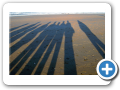 Chubut Puerto Madryn 2008 002