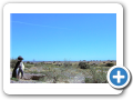 Chubut Punta Tombo 2008 005