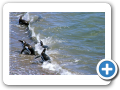 Chubut Punta Tombo 2008 016