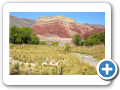 Salta 2008 36
