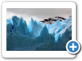 Santa Cruz Ghiacciaio Perito Moreno 2008 069