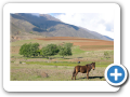 Tucuman 2008 2