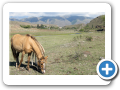 Tucuman 2008 4