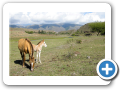 Tucuman 2008 5
