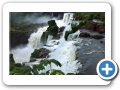 Cascate Iguazu 2007 50
