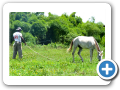Santo Amaro 2007 20
