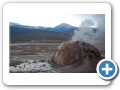 Deserto de Atacama  Geiser del Tatio 006