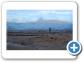 Deserto de Atacama  Geiser del Tatio 017