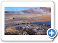 Deserto de Atacama  Geiser del Tatio 031