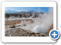 Deserto de Atacama  Geiser del Tatio 068