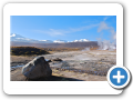 Deserto de Atacama  Geiser del Tatio 085