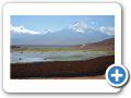 Deserto de Atacama  Machuca 006
