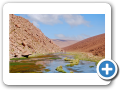 Deserto de Atacama  Machuca 009
