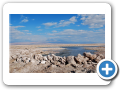 Deserto de Atacama  Salar de Atacama Laguna Chaxa 051