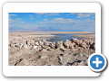 Deserto de Atacama  Salar de Atacama Laguna Chaxa 052