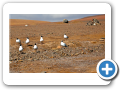 Deserto de Atacama  tra Cile e Bolivia 017
