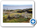 Punta Arenas Pinguinera Seno Otway 034