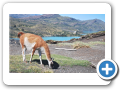 Torres del Paine 111
