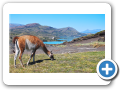 Torres del Paine 113