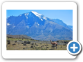 Torres del Paine 128