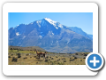 Torres del Paine 129